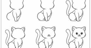 How to Draw a Cat